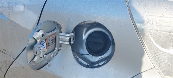 Lazy Owl Image