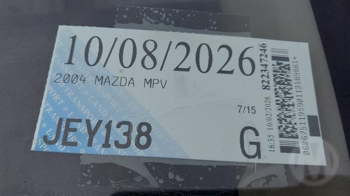 Lazy Owl Image