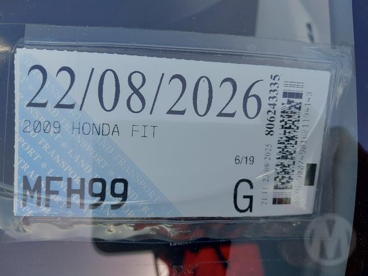 Lazy Owl Image