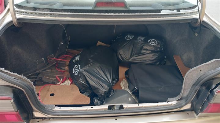 Lazy Owl Image