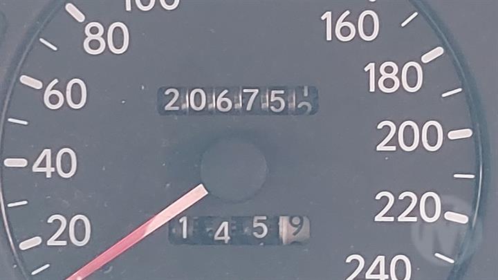 Lazy Owl Image