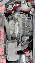 Lazy Owl Image