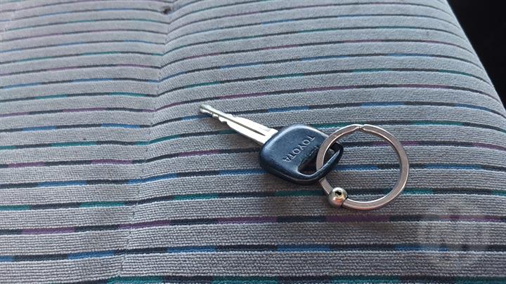 Lazy Owl Image