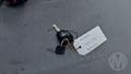 Lazy Owl Image
