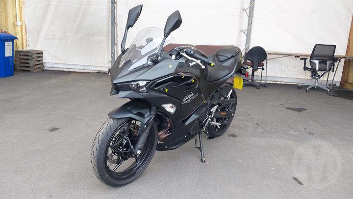 Lazy Owl Image