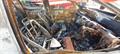 Lazy Owl Image