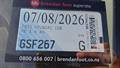 Lazy Owl Image