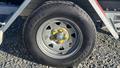 Lazy Owl Image