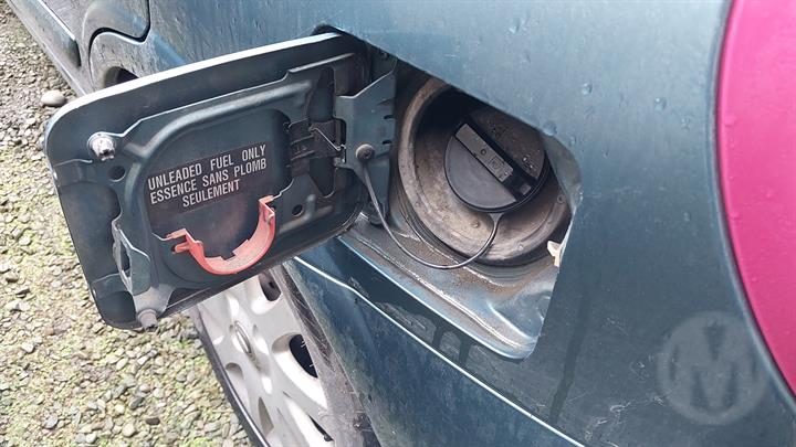 Lazy Owl Image