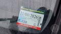 Lazy Owl Image