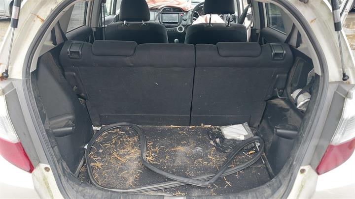Lazy Owl Image