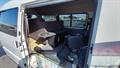 Lazy Owl Image