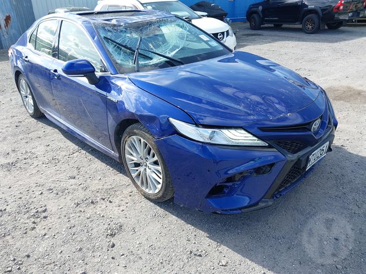 Lazy Owl Image