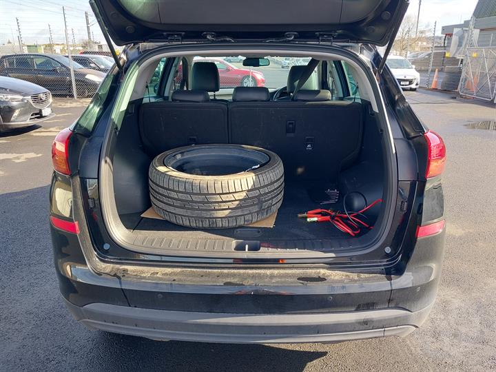 Lazy Owl Image