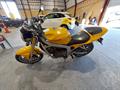 Lazy Owl Image