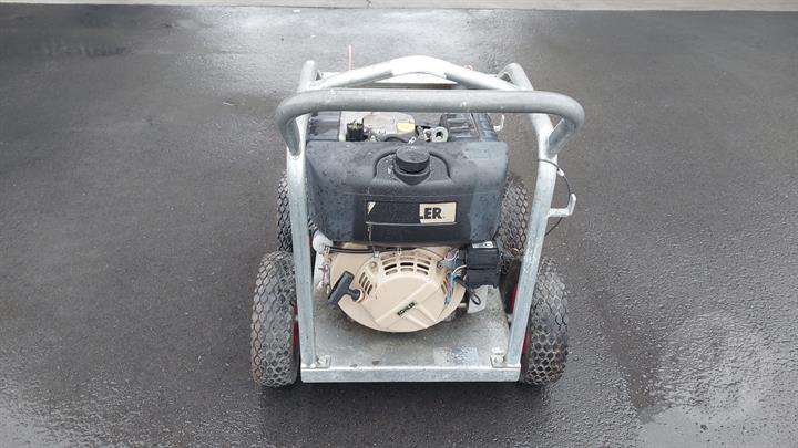 Lazy Owl Image