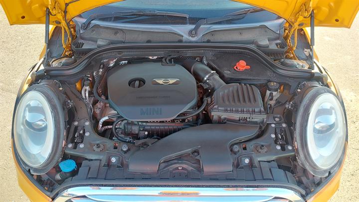 Lazy Owl Image