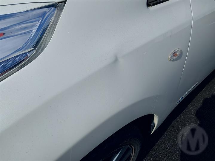 Lazy Owl Image
