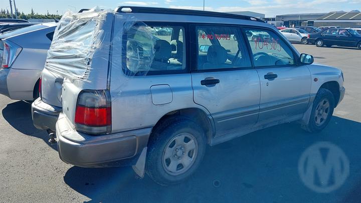 Lazy Owl Image