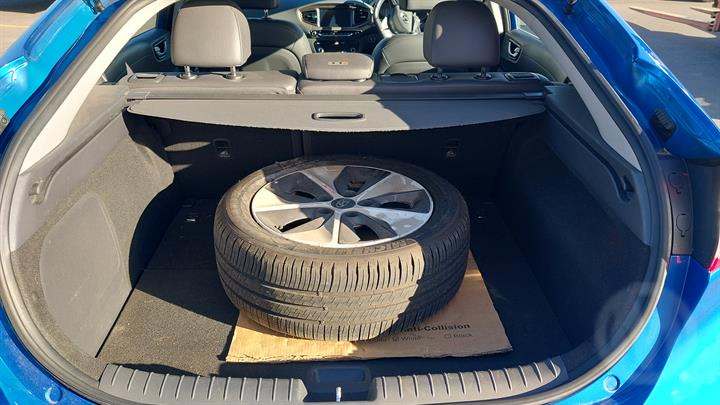 Lazy Owl Image