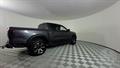 Lazy Owl Image