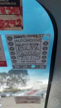 Lazy Owl Image
