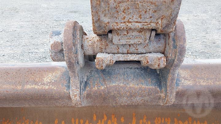 Lazy Owl Image