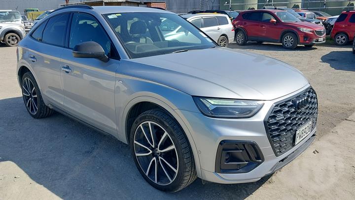 Lazy Owl Image