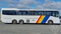 Lazy Owl Image