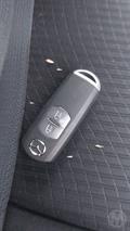 Lazy Owl Image
