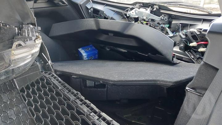 Lazy Owl Image