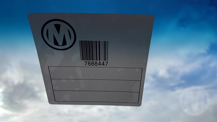 Lazy Owl Image