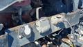 Lazy Owl Image