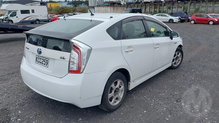 Lazy Owl Image