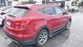 Lazy Owl Image