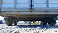 Lazy Owl Image