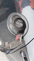 Lazy Owl Image