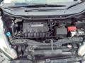Lazy Owl Image