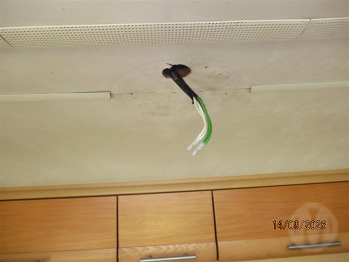 Lazy Owl Image