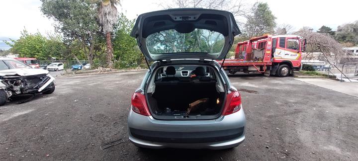 Lazy Owl Image