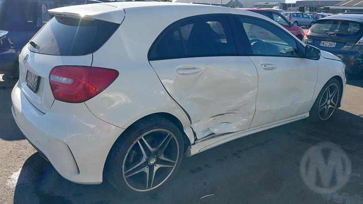 Lazy Owl Image