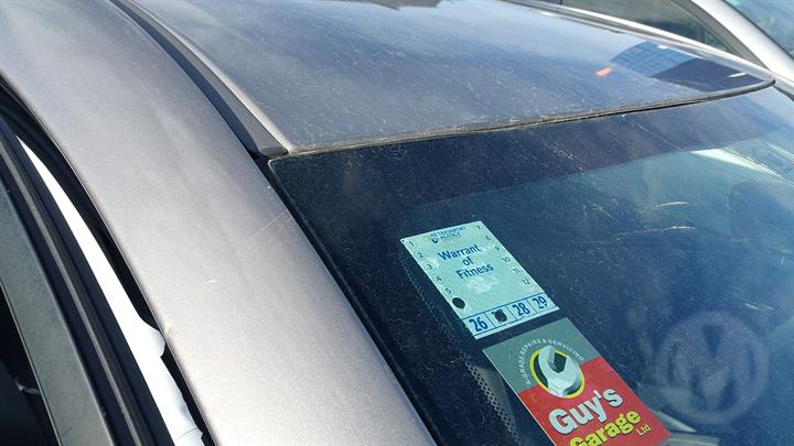 Lazy Owl Image