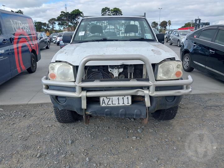 Lazy Owl Image
