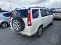 Lazy Owl Image