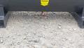 Lazy Owl Image