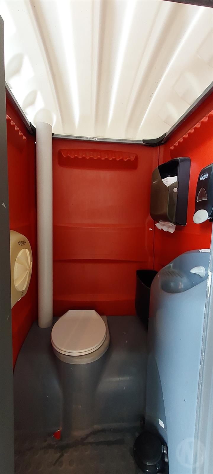 Lazy Owl Image