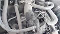 Lazy Owl Image