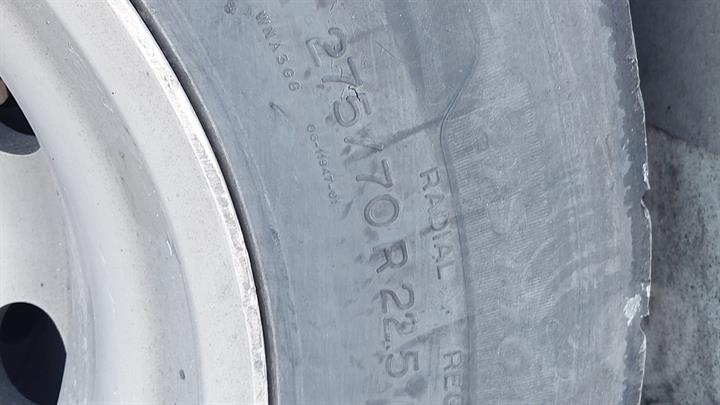 Lazy Owl Image