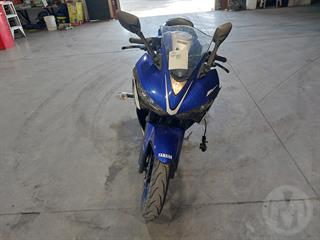 2016 Yamaha YZF R3AG Motorcycle Photo